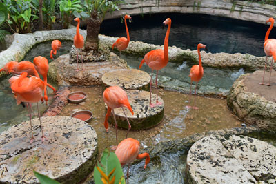 zoo